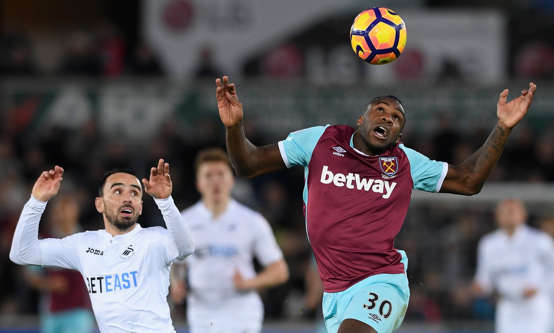 欧洲同龄球 欧洲同龄球